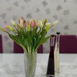 Apartment Ivana