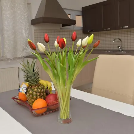 Apartman Ivana *