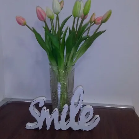 Apartman Ivana