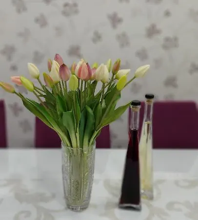 Apartamento Ivana